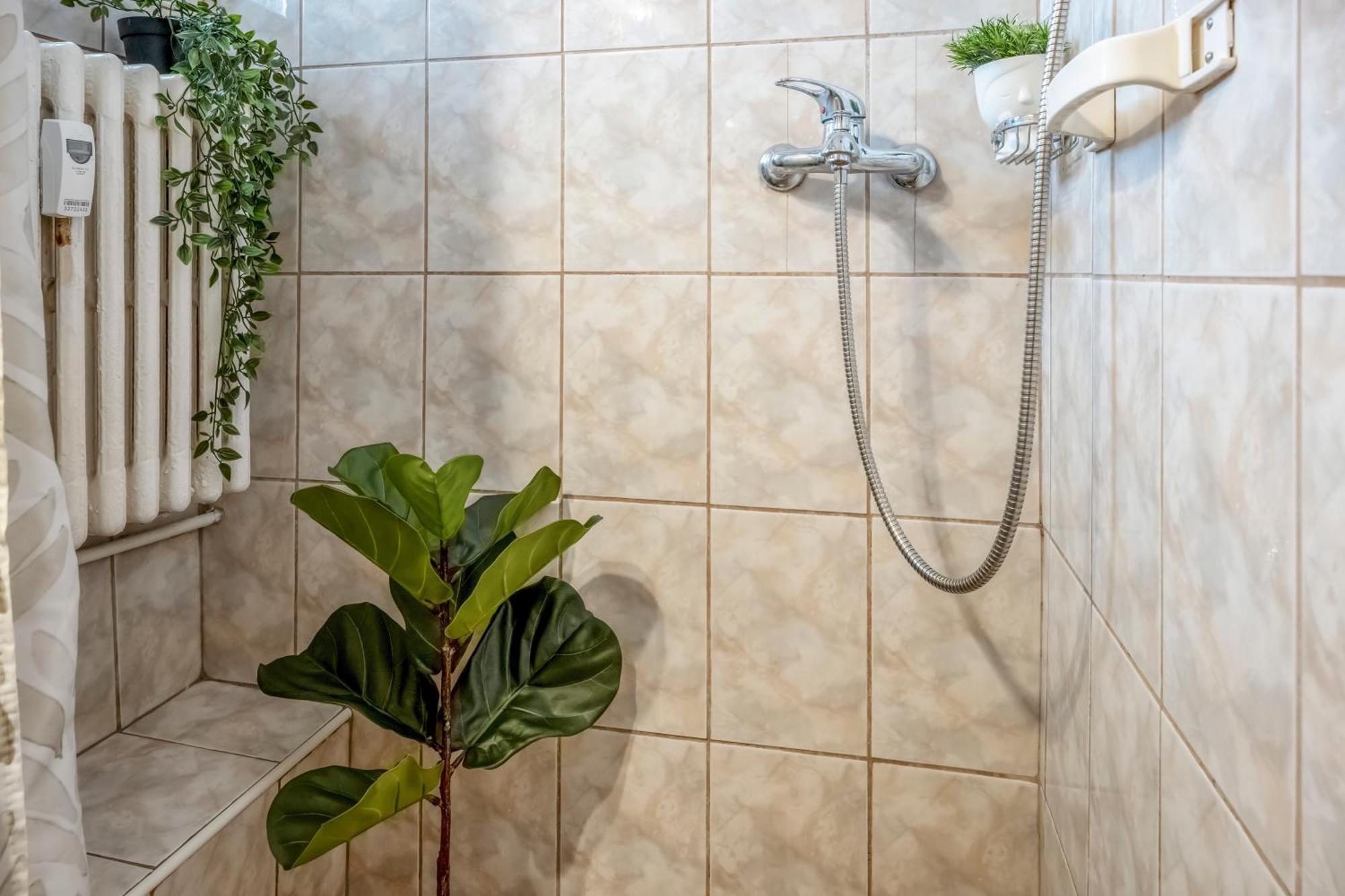 Green Muse On Victoriei Bucureşti Ngoại thất bức ảnh
